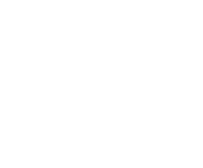 Evolution games at Palace Of Chance Casino